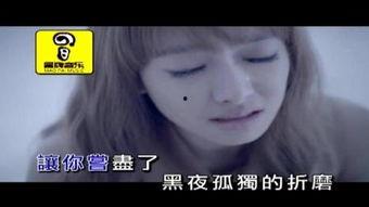 三分一情人在线观看,浪漫邂逅，心动瞬间在线放送